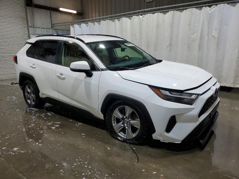 2023 Toyota Rav4 le