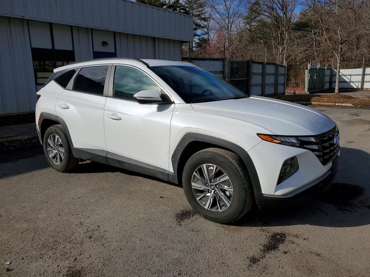 2023 Hyundai Tucson Blue