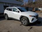 2023 Hyundai Tucson Blue