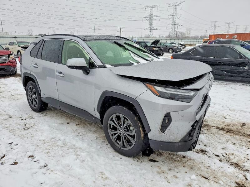 2024 Toyota Rav4 Limited