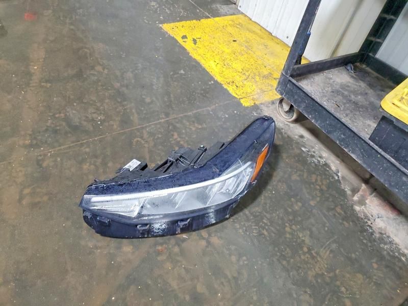 2024 Ford Escape st Line