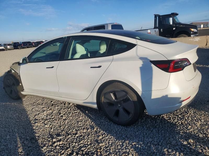 2021 Tesla Model 3