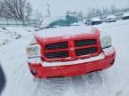 2006 Dodge Dakota SLT