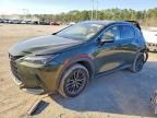 2024 Lexus Nx 250 Premium