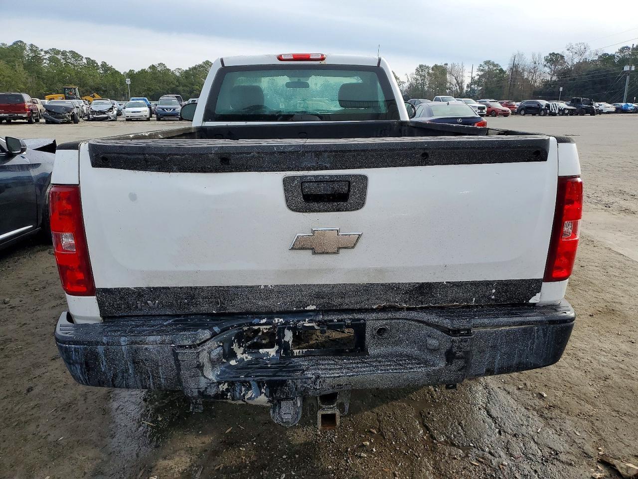 2010 Chevrolet Silverado C1500