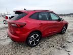 2024 Ford Escape st Line Select