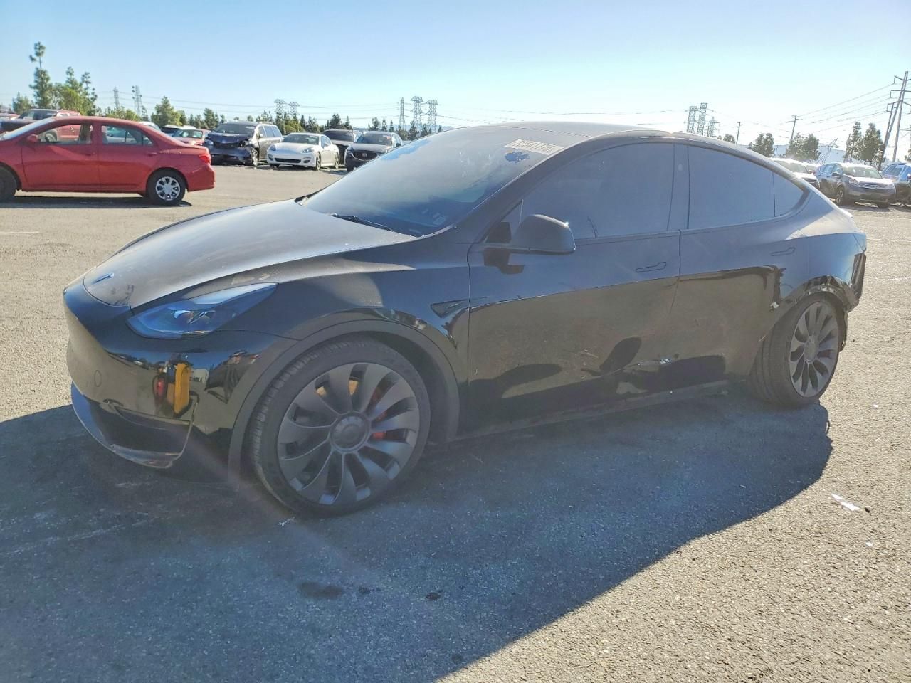 2023 Tesla Model y