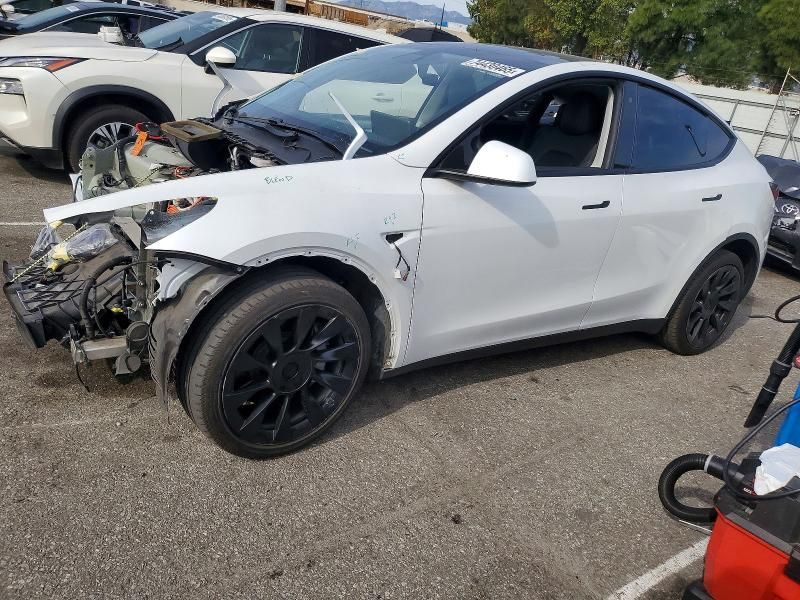 2020 Tesla Model y