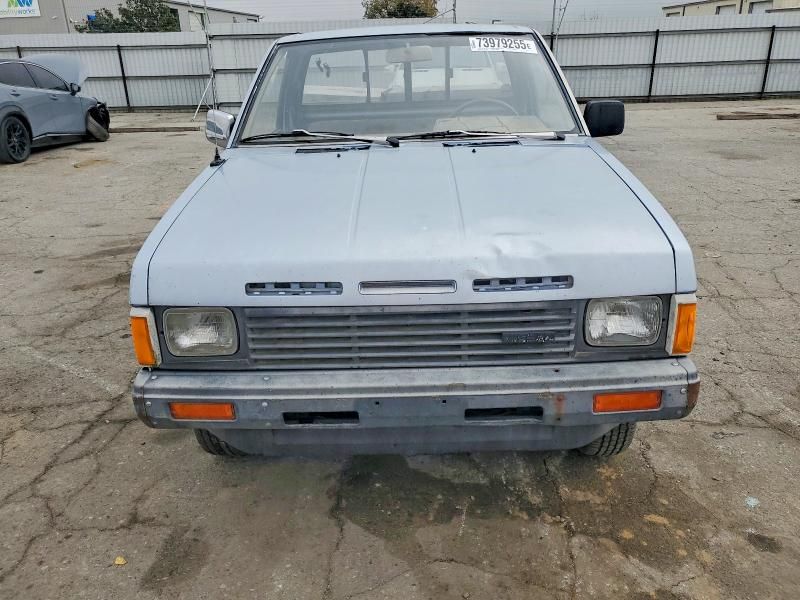 1986 Nissan D21 Short bed