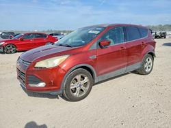 Salvage cars for sale from Copart Houston, TX: 2016 Ford Escape se