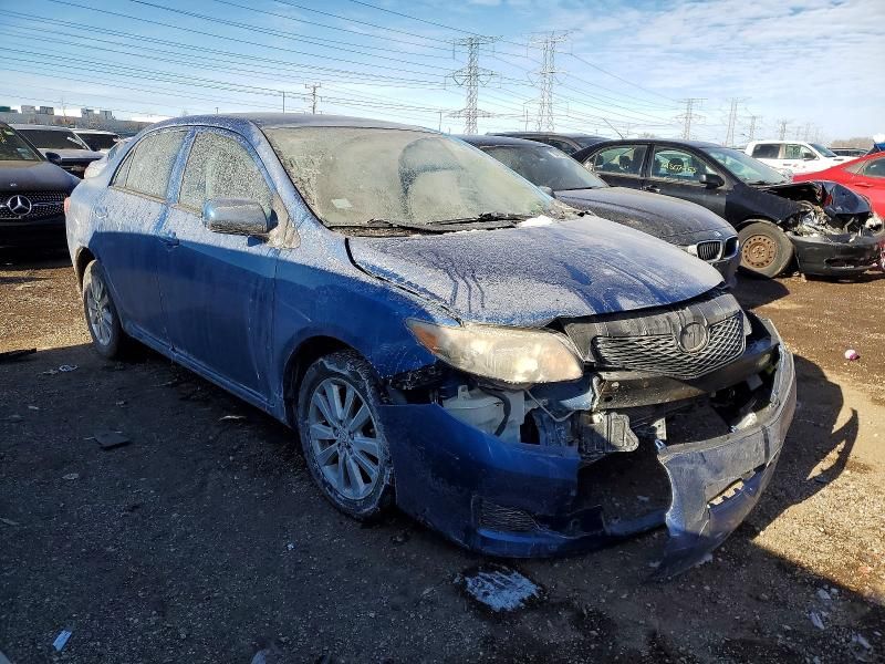 2010 Toyota Corolla Base