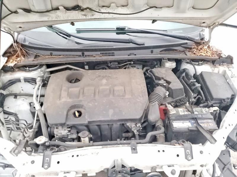 2019 Toyota Corolla l