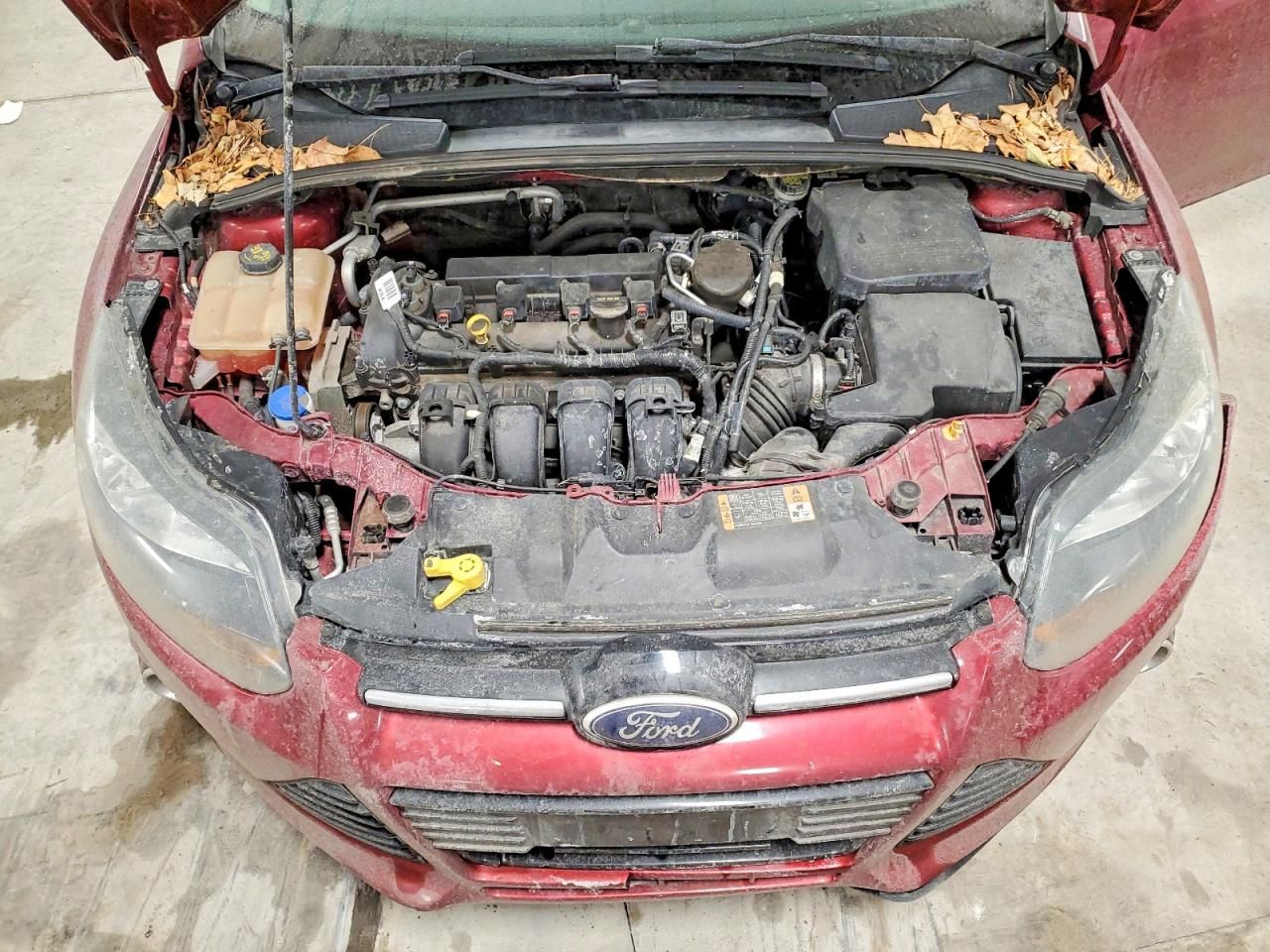 2014 Ford Focus Titanium