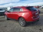 2010 Cadillac Srx Performance Collection