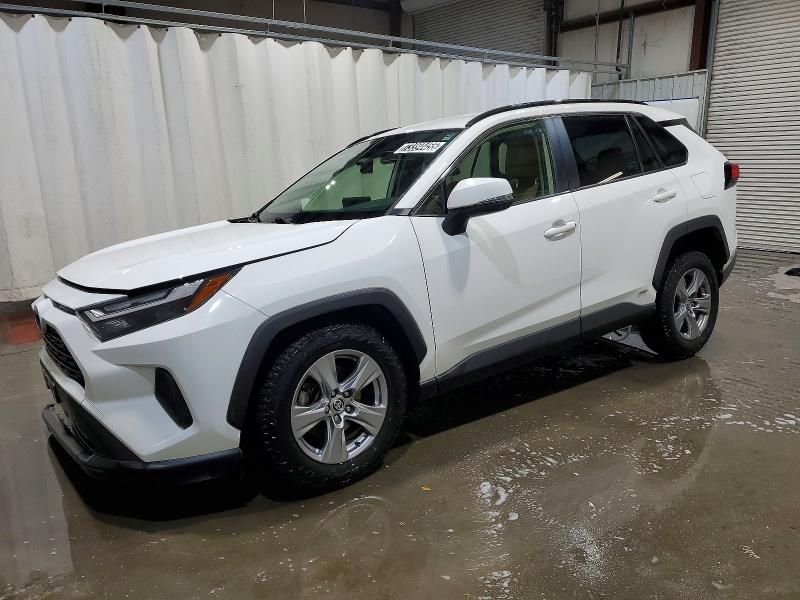 2023 Toyota Rav4 le