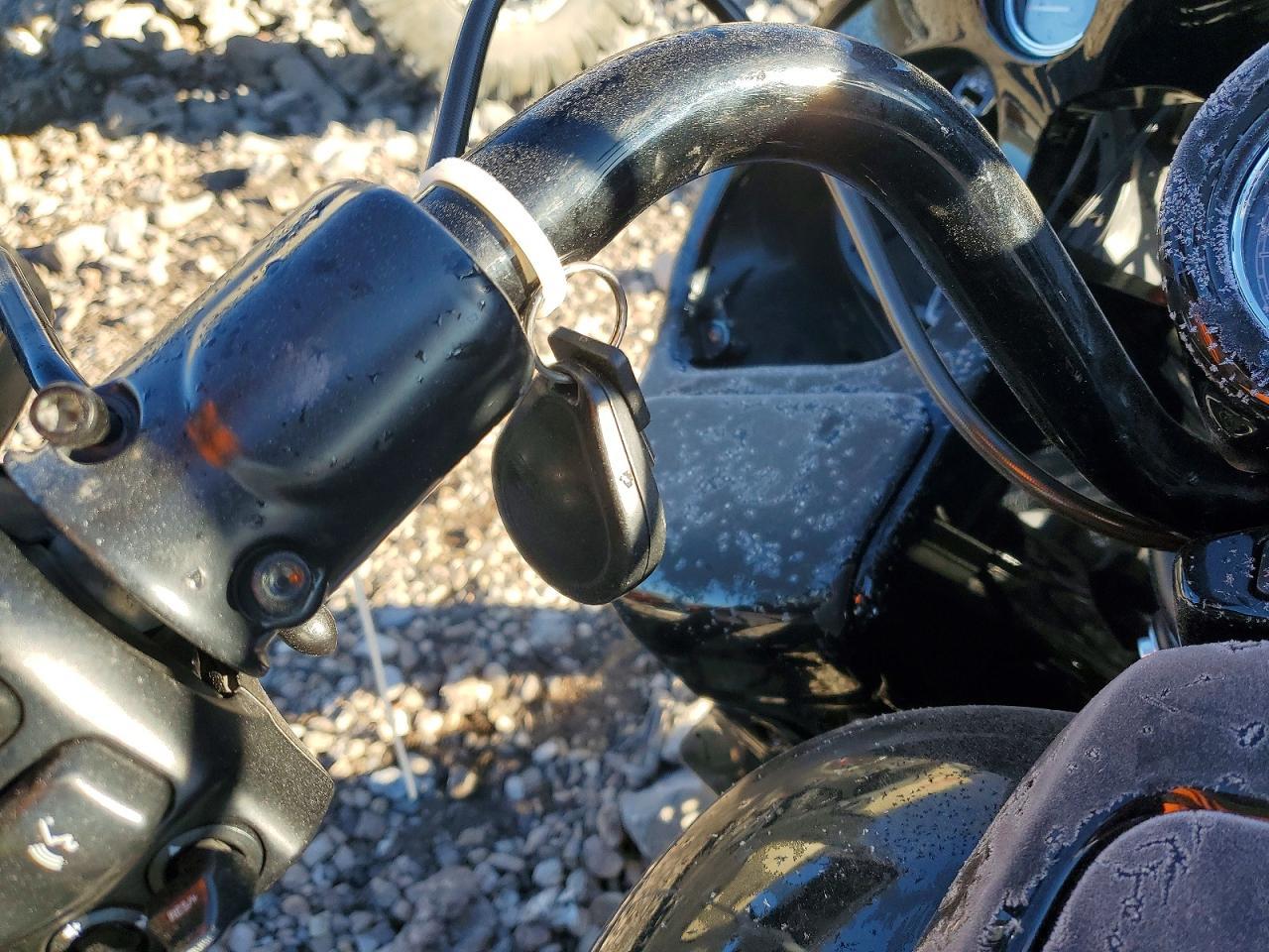 2022 Harley-Davidson Fltrxs