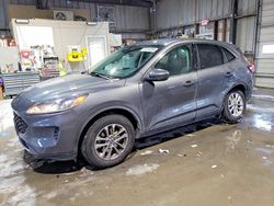 Ford Escape salvage cars for sale: 2021 Ford Escape se