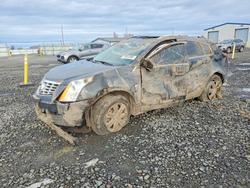 Cadillac srx salvage cars for sale: 2015 Cadillac Srx Luxury Collection