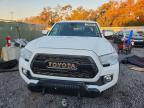 2023 Toyota Tacoma Trail Special Edition