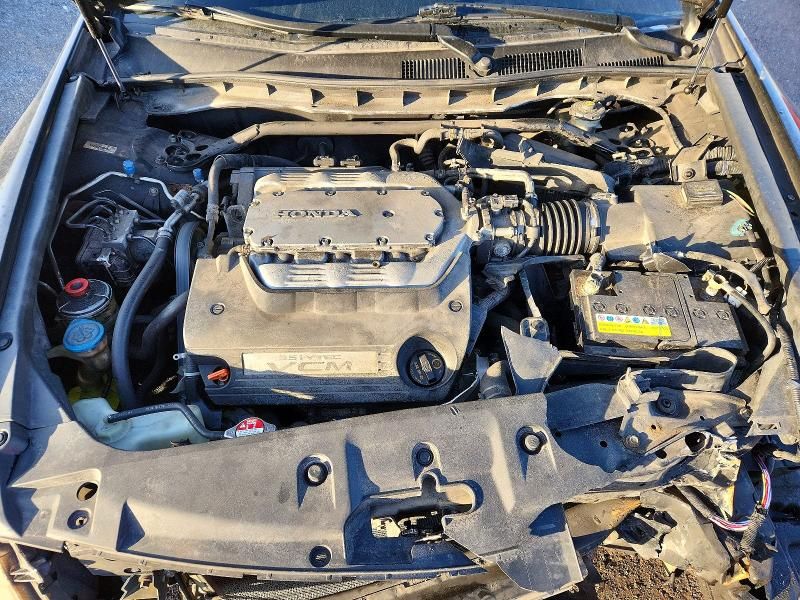 2011 Honda Accord exl