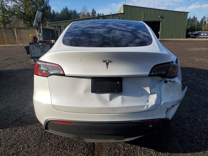2025 Tesla Model y