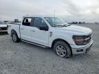 2025 Ford F150 xlt
