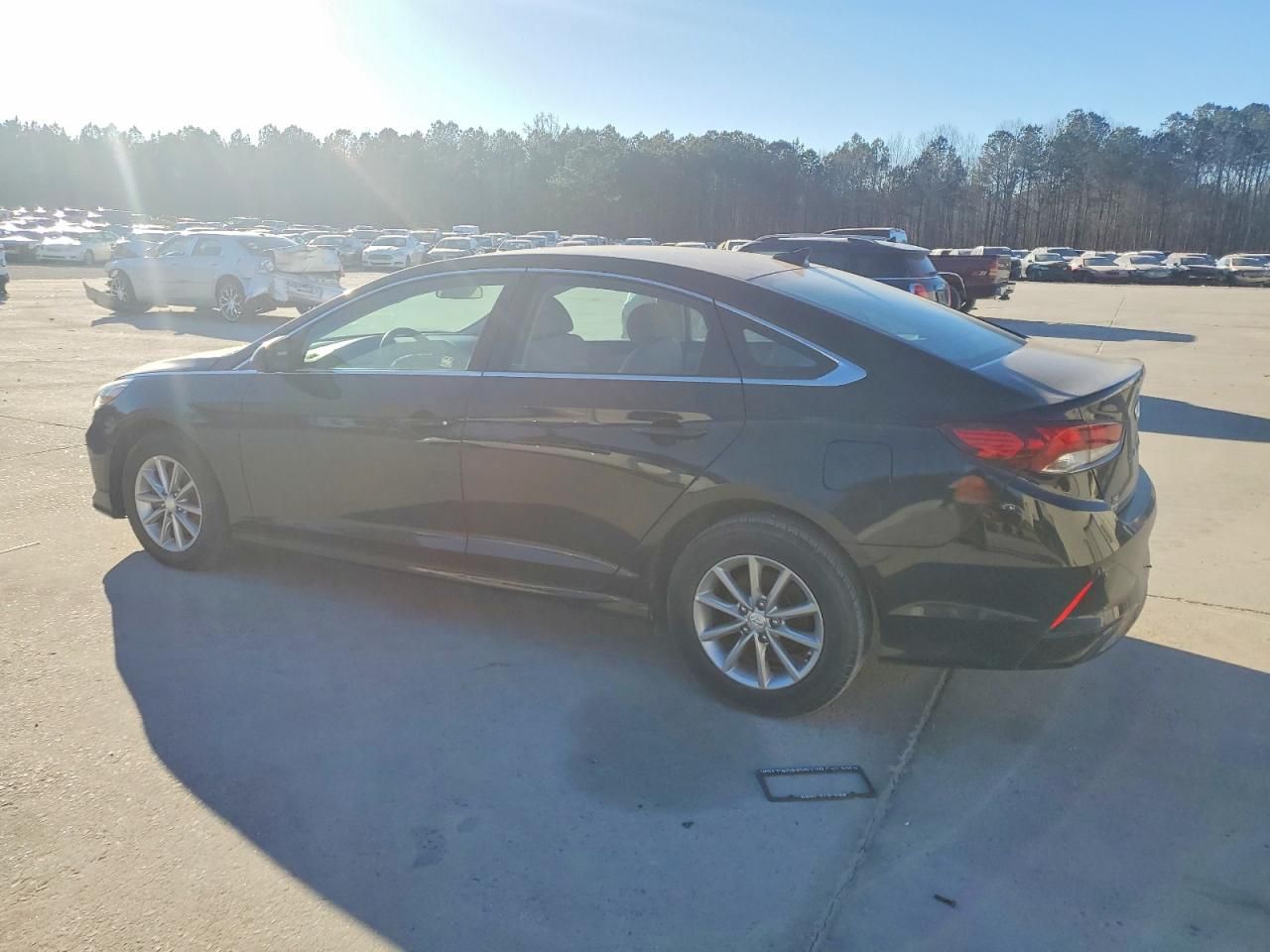 2019 Hyundai Sonata se