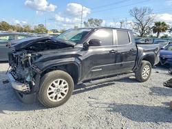 Toyota Tacoma salvage cars for sale: 2024 Toyota Tacoma SR5