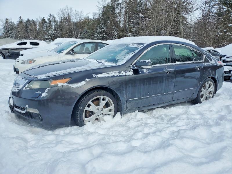 2014 Acura Tl Advance