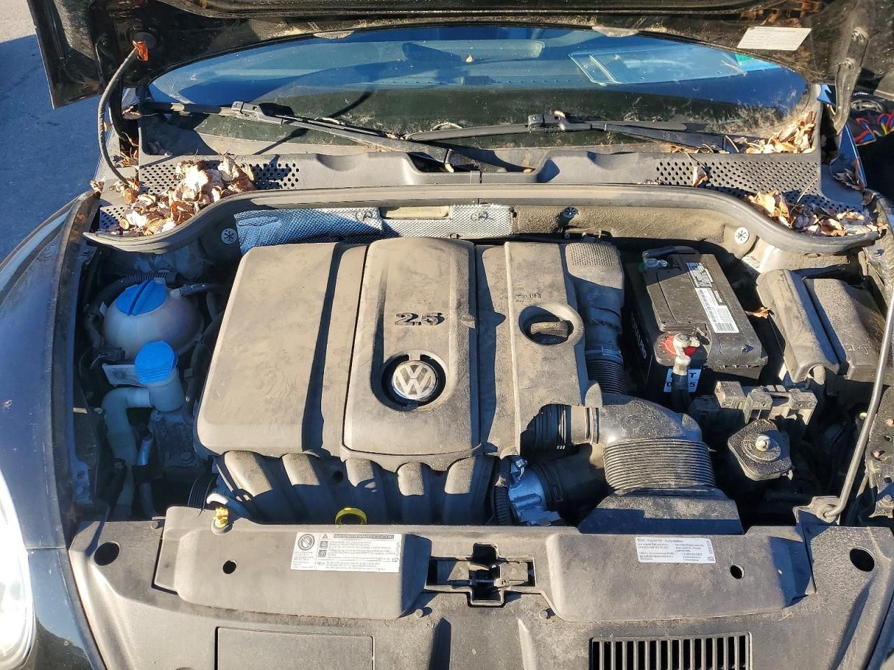 2014 Volkswagen Beetle