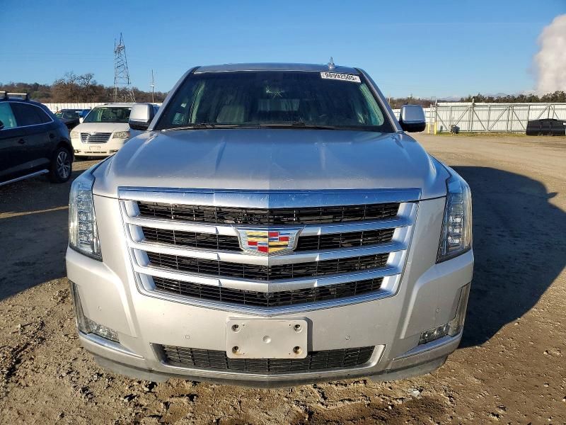 2019 Cadillac Escalade esv Luxury