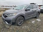 2022 Honda Cr-v exl