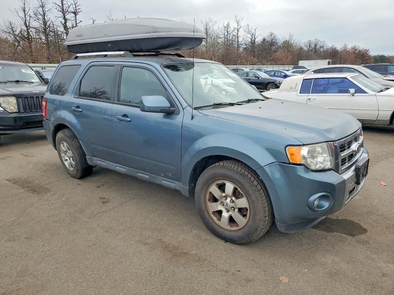 2010 Ford Escape Limited