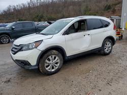 Honda crv salvage cars for sale: 2014 Honda Cr-v exl