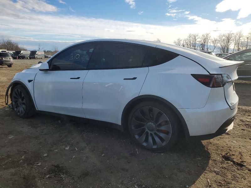 2021 Tesla Model y