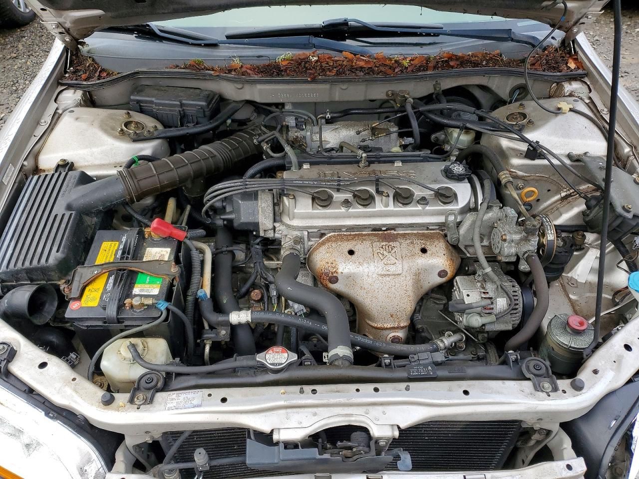 1999 Honda Accord lx