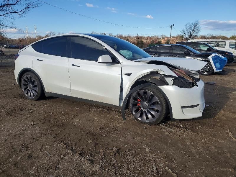 2021 Tesla Model y