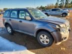 2010 Ford Escape xls