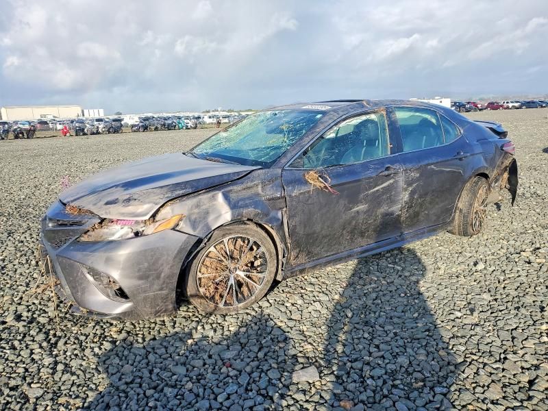 2019 Toyota Camry Hybrid