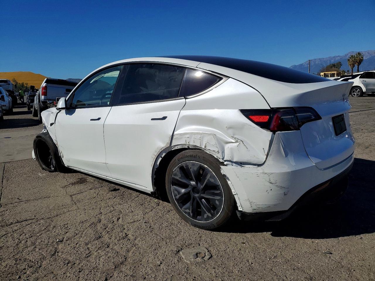 2024 Tesla Model y