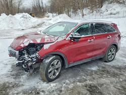 KIA salvage cars for sale: 2019 KIA Sorento ex Sport