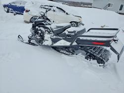 Skidoo salvage cars for sale: 2025 Skidoo Expedition se 900 t