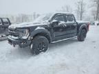 2023 Ford F150 Raptor