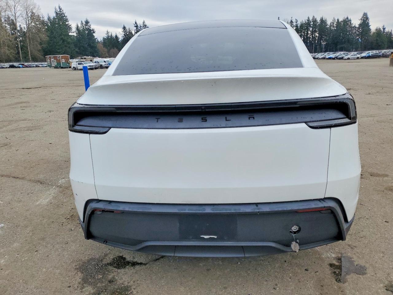 2026 Tesla Model y