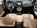 2019 Honda Cr-v exl