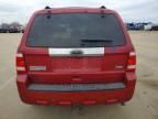 2010 Ford Escape Limited
