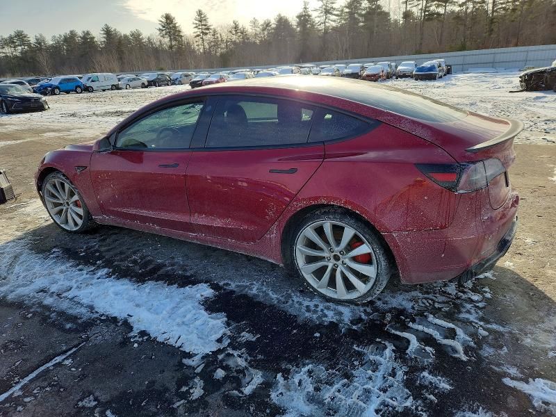 2019 Tesla Model 3