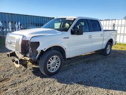 Ford salvage cars for sale: 2010 Ford F150 Supercrew