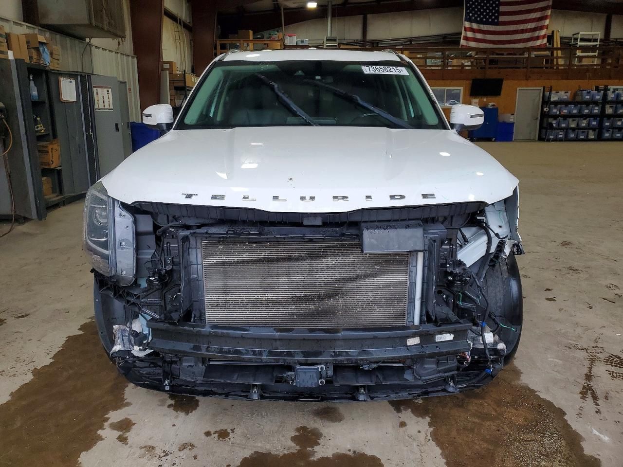 2020 KIA Telluride ex