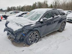 Hyundai Vehiculos salvage en venta: 2026 Hyundai Tucson sel Convenience